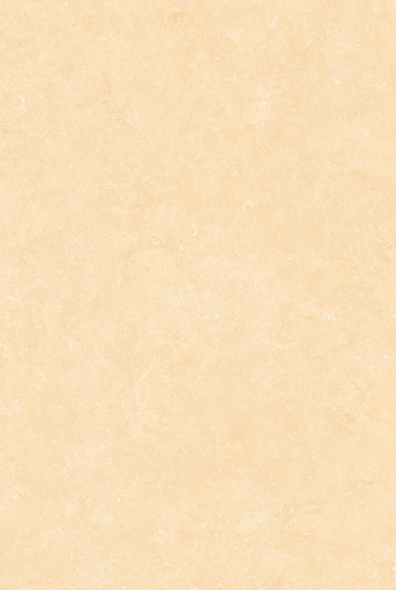 Fossil Crema 20mm Outdoor Porcelain Paving - 900 x 600