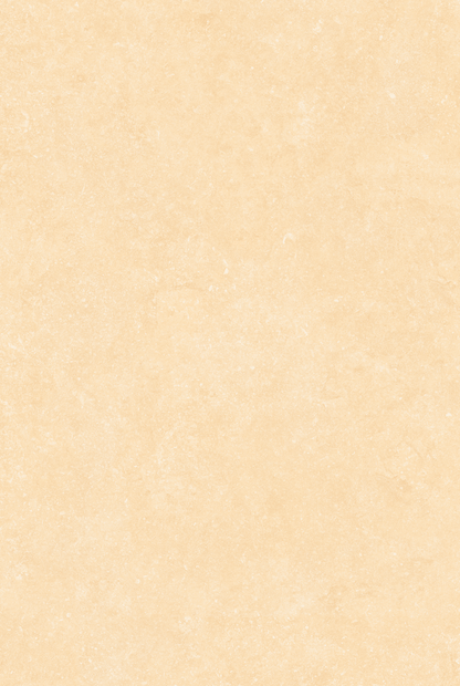 Fossil Crema 20mm Outdoor Porcelain Paving - 900 x 600